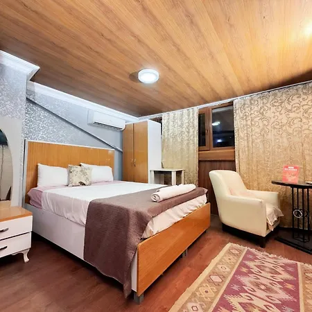 فندق The New Season *