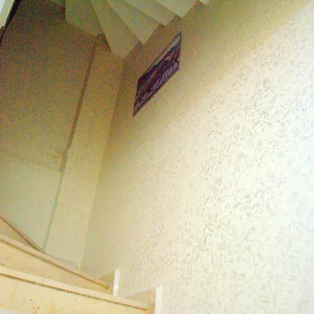 فندق The New Season